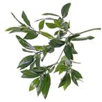 Kunstplant takken laurierblad tak van 48 cm - Overige kuns.., Huis en Inrichting, Kamerplanten, Ophalen of Verzenden