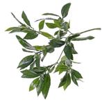 Kunstplant takken laurierblad tak van 48 cm - Overige kuns.., Ophalen of Verzenden