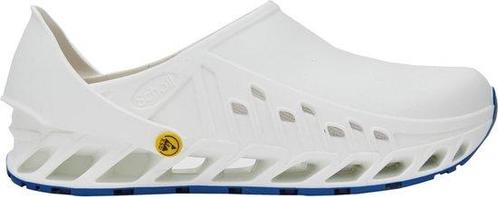 SCHOLL EVOFLEX Tpr -U WHITE Unisex Clogs - WHITE - Maat 38, Kleding | Dames, Schoenen, Nieuw, Verzenden