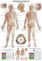 Anatomie poster meridianen (Duits/Engels, papier, 50x70 c..., Verzenden, Nieuw