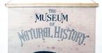 Oliver Finch - Museum of Natural History - Jaren 1860
