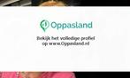 Ik ben Sarah, 23 jaar oud en ik zoek oppaswerk in Groningen.
