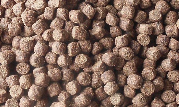 Koi grower Koivoer 40% eiwit 12kg. €40, Dieren en Toebehoren, Dierenvoeding, Vis, Ophalen of Verzenden
