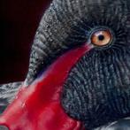 Nanda Hoep - Tranquil Reflections, Antiek en Kunst