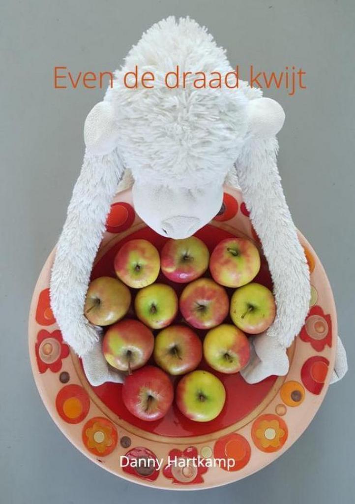 Even de draad kwijt 9789403627090 Danny Hartkamp, Boeken, Wetenschap, Zo goed als nieuw, Verzenden