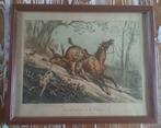 Collectie met dierenthema - Prachtige lot van 2 gravures