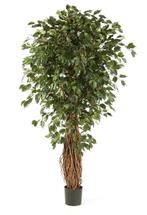Kunstplant Ficus Liana Exotica 240 cm