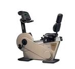 Technogym recline 600 XT pro | Ligfiets, Sport en Fitness, Verzenden, Gebruikt