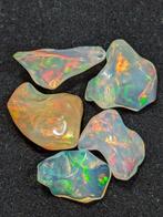 16,53 ct - AAA natuurlijke Precious Welo Opals, gepolijst