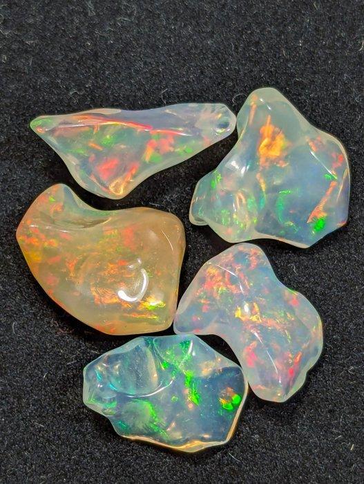 16,53 ct - AAA natuurlijke Precious Welo Opals, gepolijst, Verzamelen, Mineralen en Fossielen