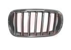 GRILL VOOR BMW X5 F15 2013-2018 51117303107, Ophalen of Verzenden, Nieuw