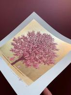 Dogwood 13 - NO RESERVE PRICE ! - Hajime Namiki  (b