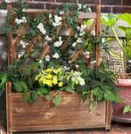 Houten verhoogd tuinbed met latwerk voor groenten en planten, Boeken, Verzenden, Nieuw