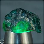 Grote kostbare Colombia-smaragd Kristal, onbehandeld 75,10, Verzamelen, Nieuw