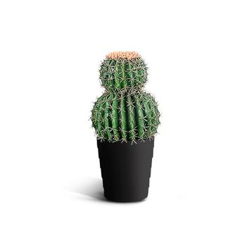IvoQ Kunst Cactus 50 cm beschikbaar voor biedingen