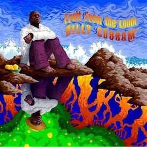 cd - Billy Cobham - Fruit From The Loom, Cd's en Dvd's, Cd's | Overige Cd's, Zo goed als nieuw, Verzenden