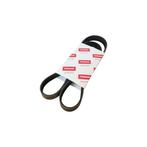 Multiriem dynamo 6 PK 1060 - Yanmar, Watersport en Boten, Ophalen of Verzenden, Nieuw, Motor en Techniek, Zeilboot of Motorboot