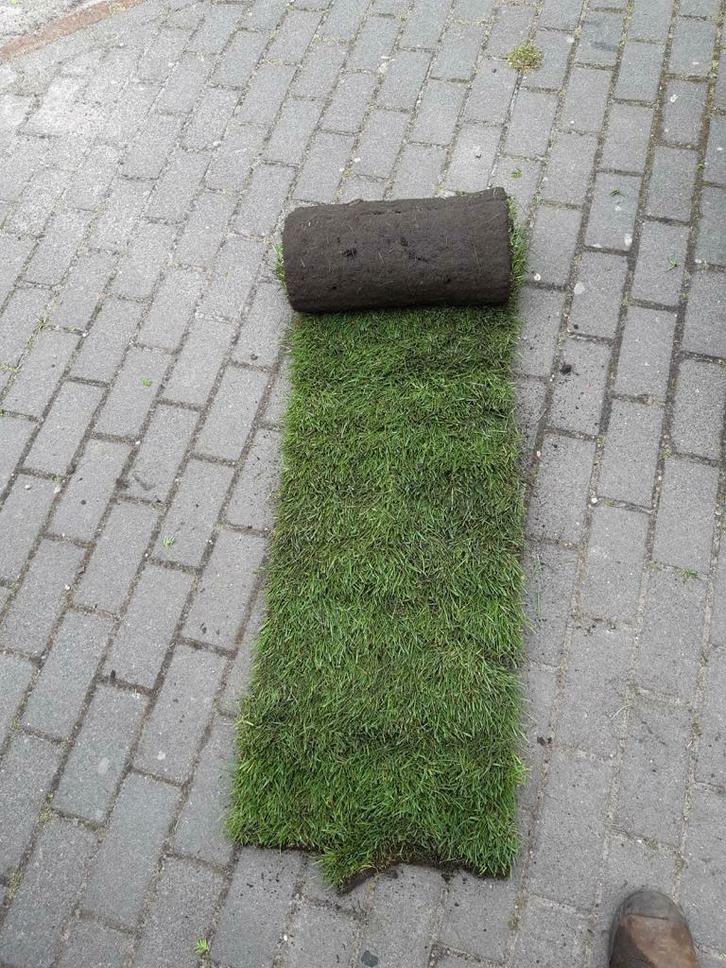 Graszoden bestellen, grasmatten kopen, Gras leggen gazongras, Tuin en Terras, Gras en Kunstgras, 20 m² of meer, Gras, Nieuw, Ophalen of Verzenden