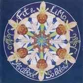 cd - Fit &amp; Limo - As Above So Below, Cd's en Dvd's, Cd's | Rock, Zo goed als nieuw, Verzenden