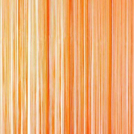 Deurgordijn draadgordijn draadjes gordijn 100x250cm ORANJE, Huis en Inrichting, Stoffering | Gordijnen en Lamellen, Nieuw
