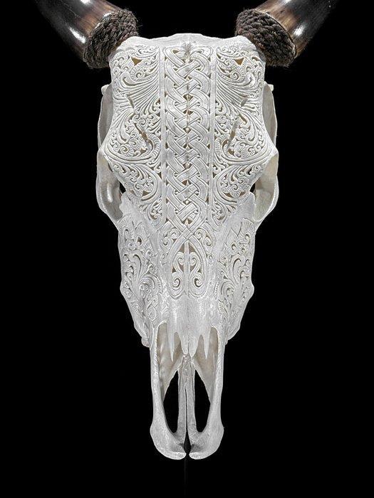 Geen minimumprijs - Met de hand gesneden witte koeienschedel, Verzamelen, Dierenverzamelingen