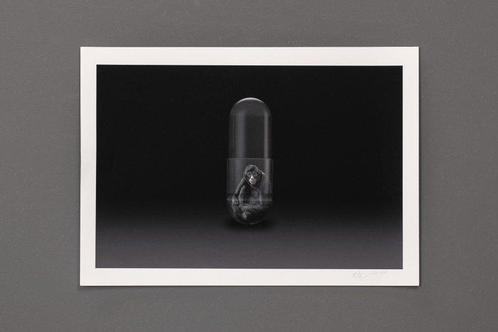 Gianluca Micheletti - Lifepod | Atele Ve, Antiek en Kunst, Kunst | Schilderijen | Modern