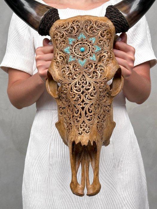 Geen minimumprijs - Prachtige bruine gesneden koeienschedel, Antiek en Kunst, Kunst | Niet-Westerse kunst