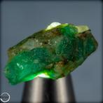 Zelden smaragd-kristal uit Colombia. Edelstenen 26,35 ct-, Verzamelen, Mineralen en Fossielen