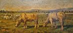 Luigi Gioli (1854-1947) - Buoi al pascolo, Antiek en Kunst
