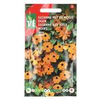 Bloemzaden Suzanne met de Mooie Ogen | VT (Oranje), Tuin en Terras, Bloembollen en Zaden, Verzenden