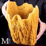 Natuurlijke sponzen uit de Middellandse Zee - Taxidermie, Antiek en Kunst