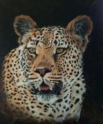 Bettina Nienhaus - Leopard, Antiek en Kunst