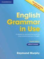 English Grammar In Use Without Answers 9780521189088, Zo goed als nieuw