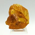 COPAL AMBER met MUGGEN en INSECTEN, honingkleur Vrije vorm -