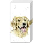 IHR - Zakdoeken - Farmfriends Dog Golde retriever, Verzenden, Nieuw