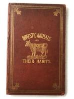 H.W. Dulcken. - Domestic Animals, Familiar Birds, &C. - 1865