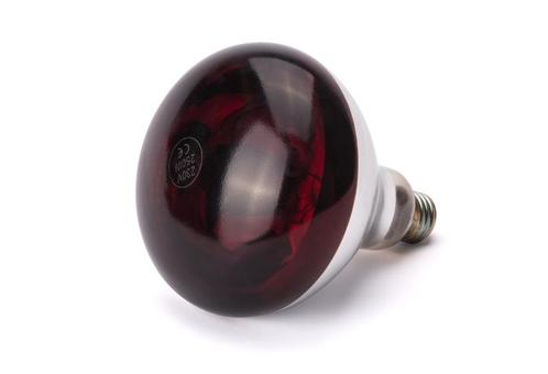 Warmtelamp | Warm Rood | 0.25kW | Ø125x170(h)mm HENDI, Zakelijke goederen, Horeca | Keukenapparatuur, Nieuw in verpakking, Verzenden