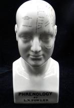 Hoofd ornament - Model Phrenology Hoofd - Dr. L.N.Fowler