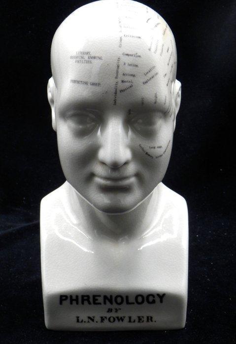 Hoofd ornament - Model Phrenology Hoofd - Dr. L.N.Fowler, Antiek en Kunst, Antiek | Wandborden en Tegels