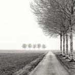 Wiepke Folkerts - Silence, Antiek en Kunst