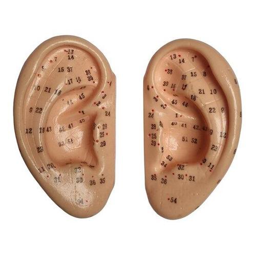 Acupunctuur / reflexzone modellen oor (links en rechts, 5..., Sport en Fitness, Overige Sport en Fitness, Verzenden