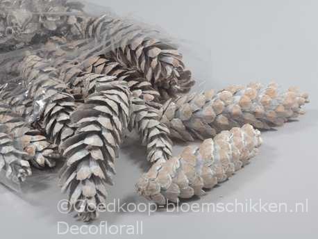 Denneappel strobus white wash 20-25cm. zak25 grote, Hobby en Vrije tijd, Knutselen, Nieuw, Ophalen of Verzenden