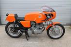 DUCATI, MOTO GUZZI LAVERDA AERMACCHI, TRIUMPH,matchle, ADLER, Meer dan 35 kW, Naked bike