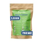 Microklaver Gazon - Zuiver klaverzaad  (1500 g voor 750 m2), Tuin en Terras, Verzenden, Gehele jaar, Volle zon, Zaad