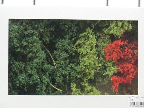 Jordan 7C Naturbäume 12St. 6-11 cm (Bomen & Struiken), Hobby en Vrije tijd, Modelbouw | Figuren en Diorama's, Nieuw, Ophalen of Verzenden