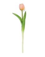 HEMA Kunstbloem 34cm tulp lichtroze 3+2 gratis, Verzenden