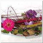 Gaas gekleurd Rood 30 cm 3 meter, Hobby en Vrije tijd, Knutselen, Ophalen of Verzenden, Nieuw