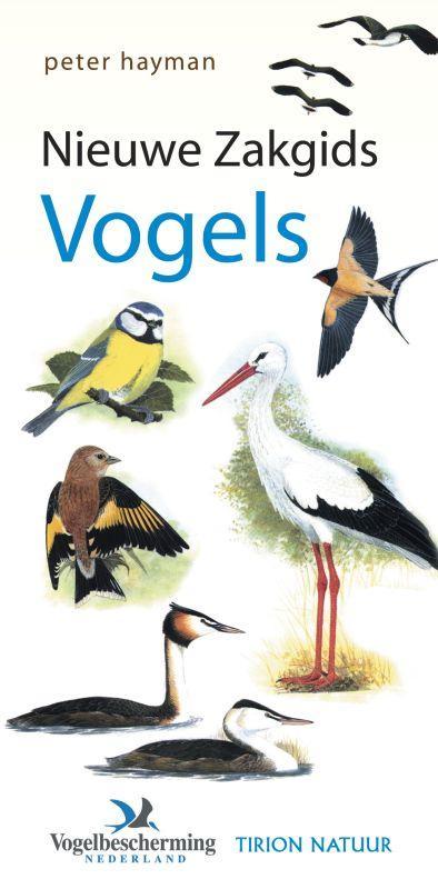 Nieuwe Zakgids Vogels 9789052105345 Peter Hayman, Boeken, Dieren en Huisdieren, Gelezen, Verzenden