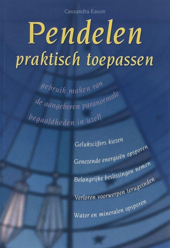 Pendelen praktisch toepassen, Boeken, Overige Boeken, Ophalen of Verzenden