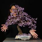 M.A.G. Design. - sculptuur, Amethyst Bonsai on Natural Geode, Verzamelen